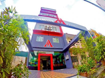 Adamson Park Hotel - image 1