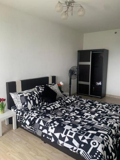 AmicaHomes studio unit 2 (free wifi and netflix) - image 8